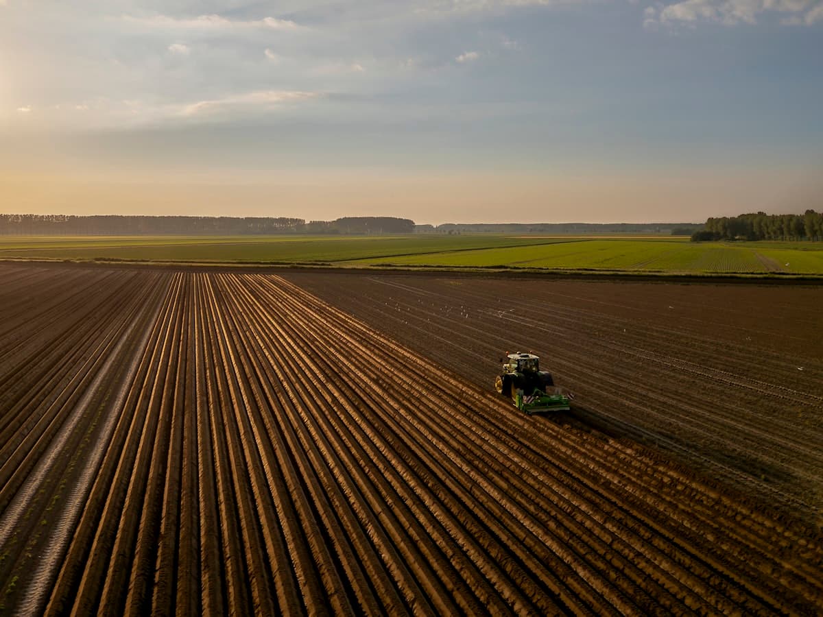 Agriculture